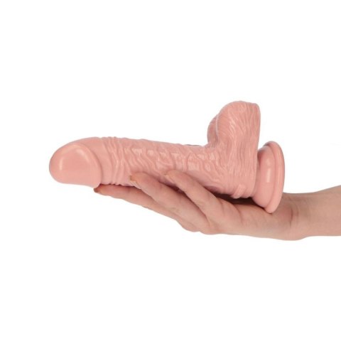 Dildo realistyczne Toyz4lovers 16 cm z przyssawką PVC