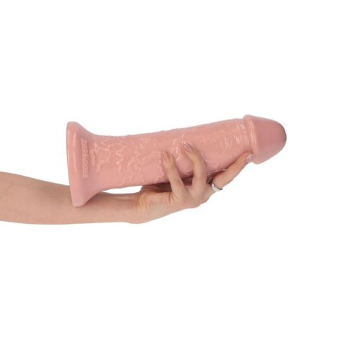 Realistyczne dildo Toyz4lovers z przyssawką 25 5 cm