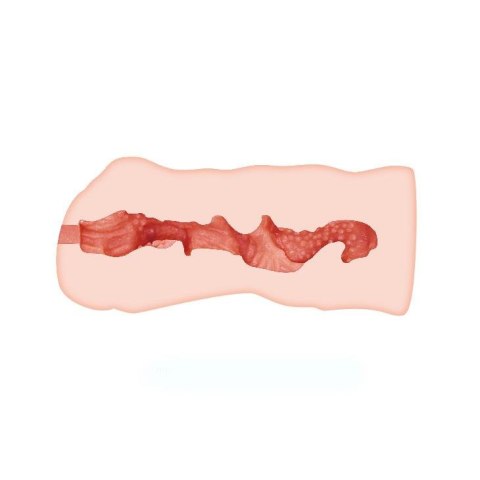 Masturbator kompaktowy realistyczny Crazy Bull Linda wodoodporny 14 cm