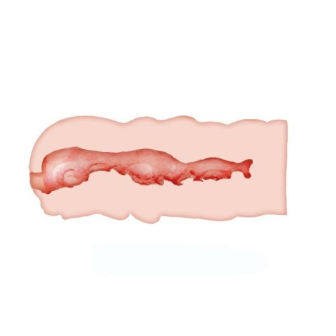Masturbator pochwowy realistyczny Crazy Bull Isabel cielisty 13.5 cm