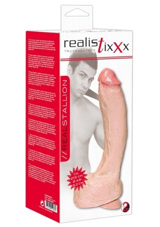 Dildo realistyczne Realistixxx Stallion 27,5 cm