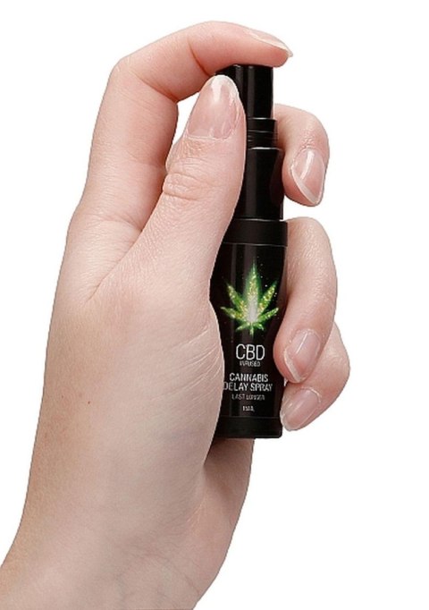 Spray opóźniający CBD Cannabis Pharmquests 15 ml