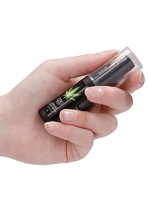 Spray opóźniający CBD Cannabis Pharmquests 15 ml