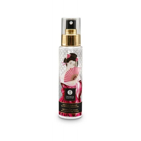 Delikatny spray czyszczący do zabawek Shunga