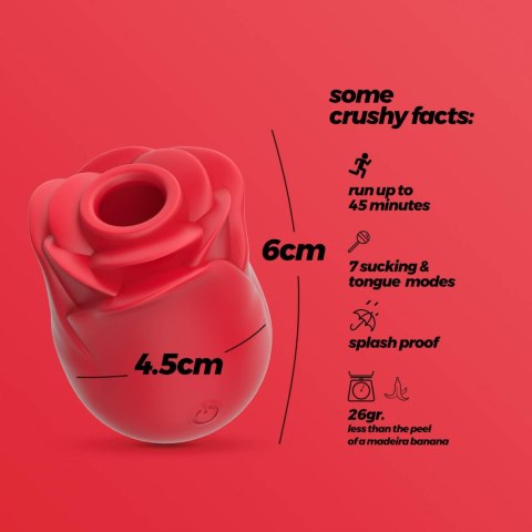 Stymulator łechtaczki z językiem Crushious Rosita silikonowy USB 6 cm
