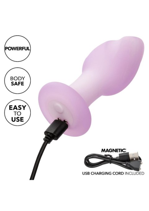Plug analny wibrujący Calexotics Lavender Haze Ridge Probe fioletowy