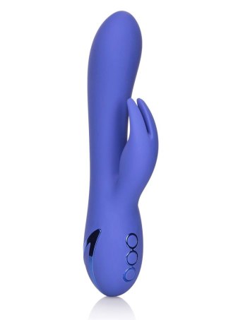 Wibrator króliczek Beverly Hills Bunny fioletowy Calexotics